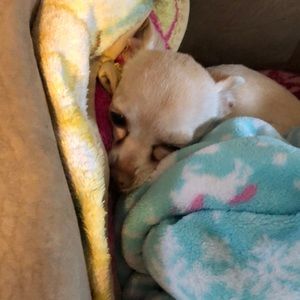 Meet your Posher, Jamie